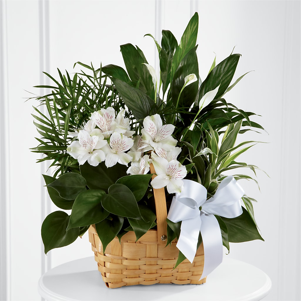 Peace & Serenity Dishgarden – Bayport Flower Houses Inc, Bayport NY
