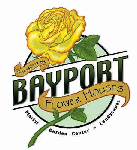HARVEST SPECIAL SET UP – Bayport Flower Houses Inc, Bayport NY