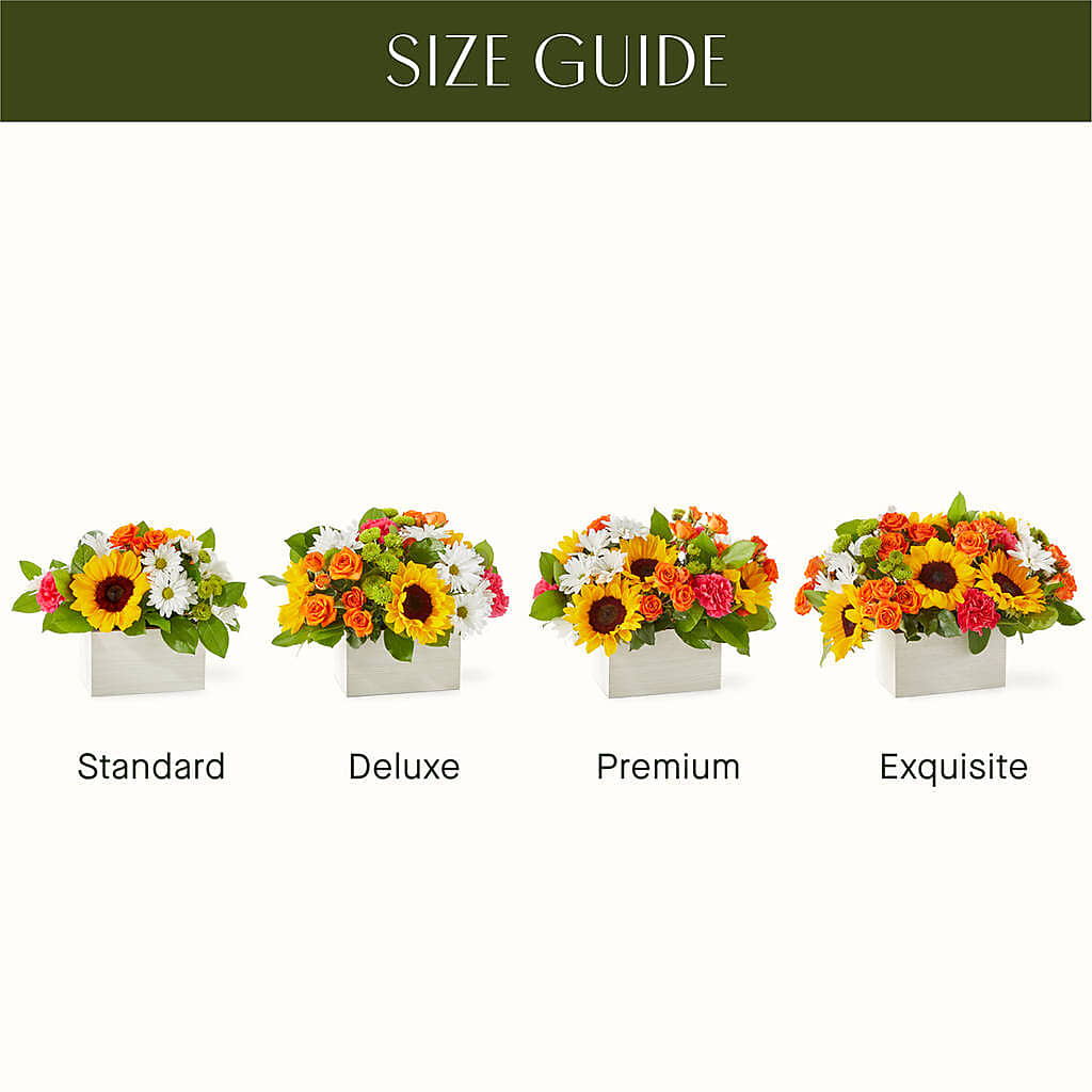 Sun-drenched Blooms Box Bouquet – Bayport Flower Houses Inc, Bayport NY