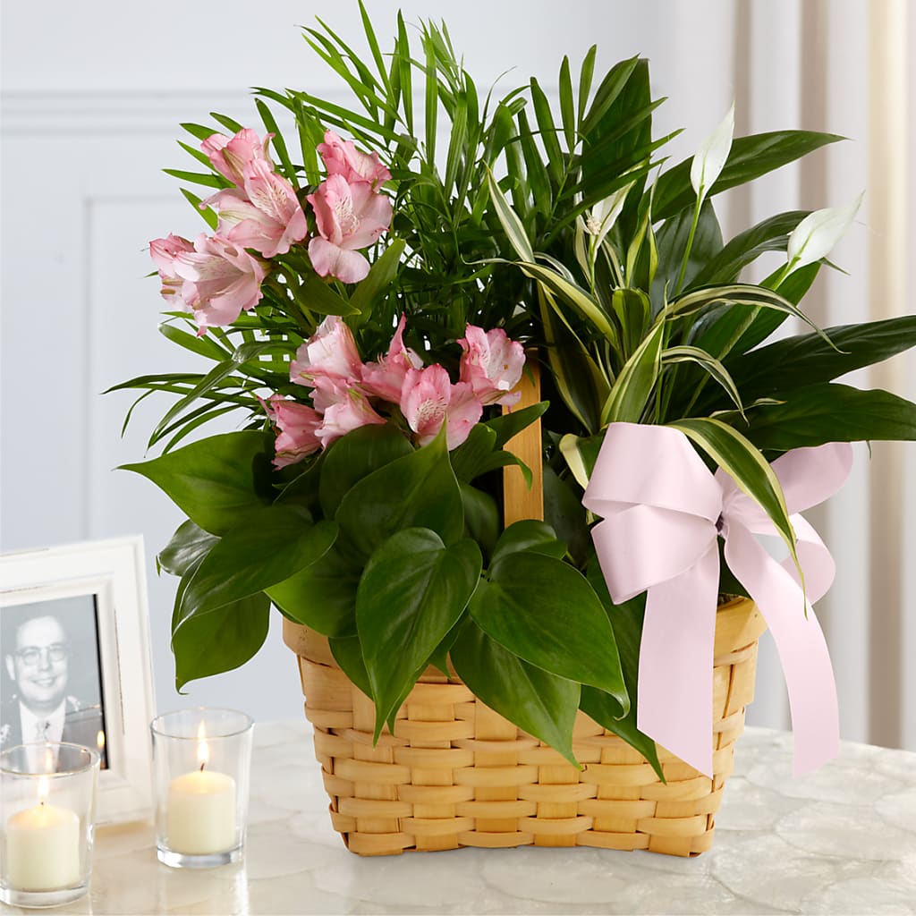 Living Spirit Dishgarden – Bayport Flower Houses Inc, Bayport NY