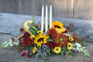 Bayport's Best - HARVEST HOME –  Bayport Flower Houses Inc, Bayport NY