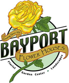 BAYPORT FLOWER HOUSES GIFT CARD