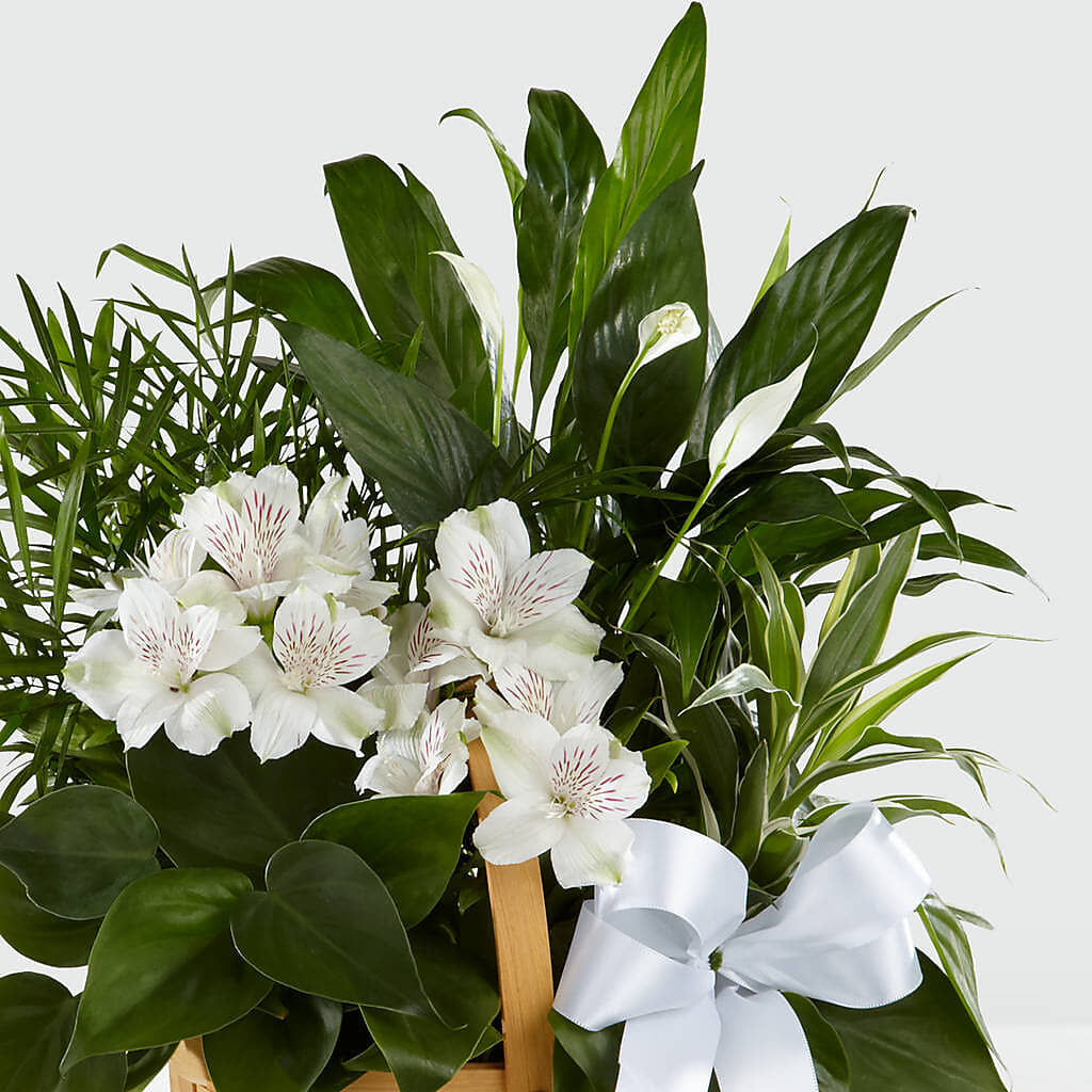 Peace & Serenity Dishgarden –  Bayport Flower Houses Inc, Bayport NY