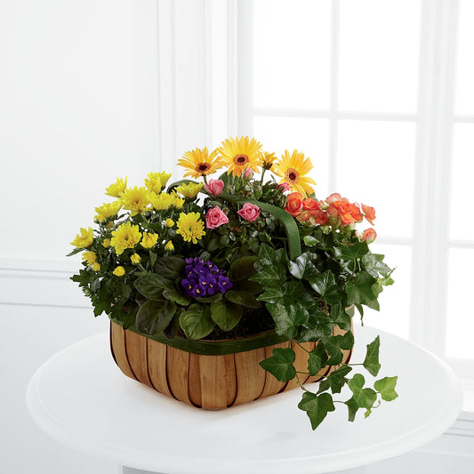 Gentle Blossoms Basket –  Bayport Flower Houses Inc, Bayport NY