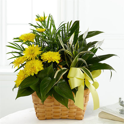 Loving Light Dishgarden –  Bayport Flower Houses Inc, Bayport NY