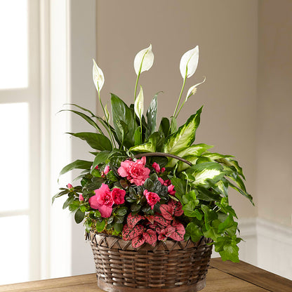 Dream in Pink Dishgarden –  Bayport Flower Houses Inc, Bayport NY