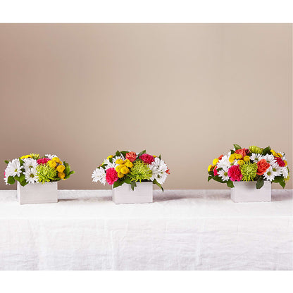 Sorbet Bouquet –  Bayport Flower Houses Inc, Bayport NY