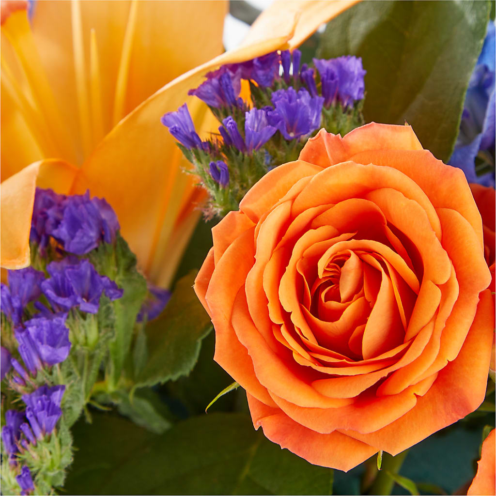 Radiant Citrus Box Bouquet –  Bayport Flower Houses Inc, Bayport NY