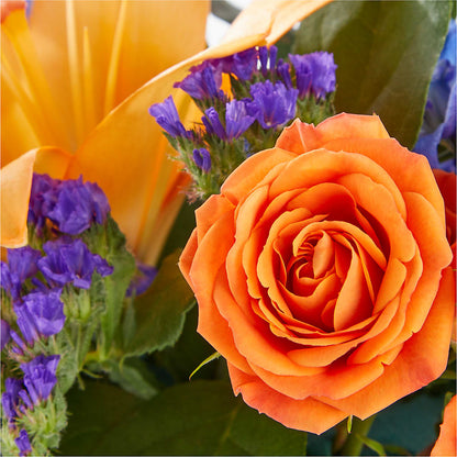 Radiant Citrus Box Bouquet –  Bayport Flower Houses Inc, Bayport NY