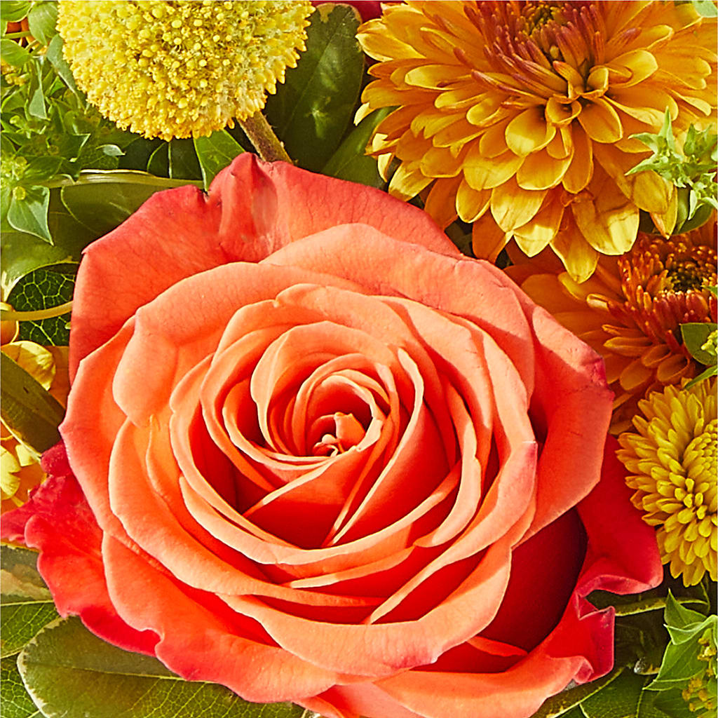 Gourdgeous Pumpkin –  Bayport Flower Houses Inc, Bayport NY