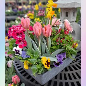 BAYPORT'S BEST GARDEN OF SEASONAL BLOOMS EXTRA LARGE –  Bayport Flower Houses Inc, Bayport NY