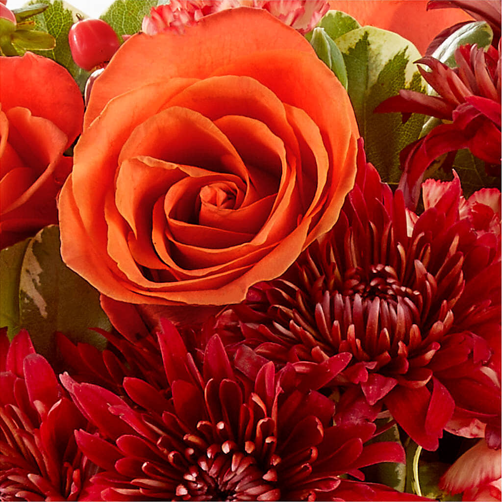 Autumn Air Pumpkin Bouquet –  Bayport Flower Houses Inc, Bayport NY