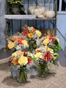 Bayport's Best PARTY PACK - TUSSY MUSSY (5) –  Bayport Flower Houses Inc, Bayport NY