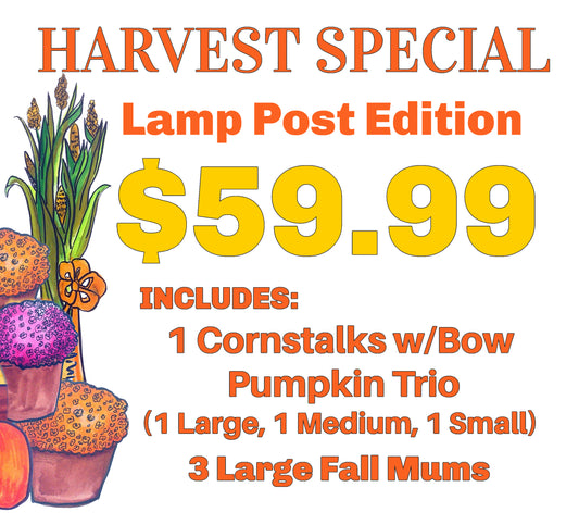 HARVEST SPECIAL - LAMPPOST EDITION! –  Bayport Flower Houses Inc, Bayport NY