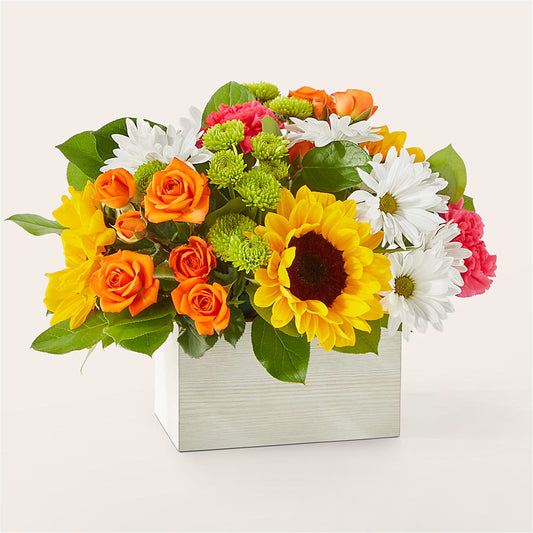 Sun-drenched Blooms Box Bouquet –  Bayport Flower Houses Inc, Bayport NY