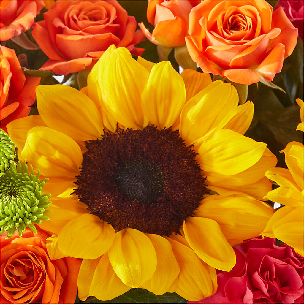Sun-drenched Blooms Box Bouquet –  Bayport Flower Houses Inc, Bayport NY