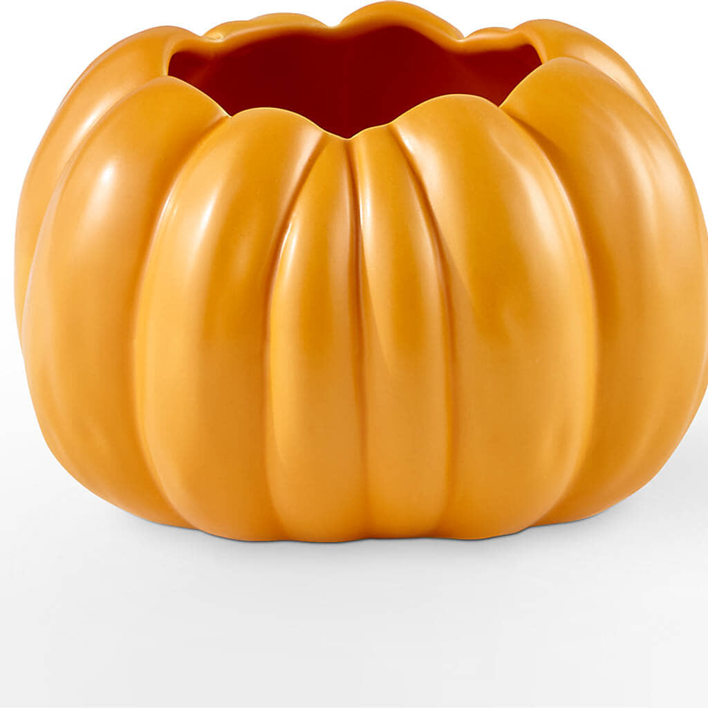 Golden Gourd Pumpkin Bouquet –  Bayport Flower Houses Inc, Bayport NY