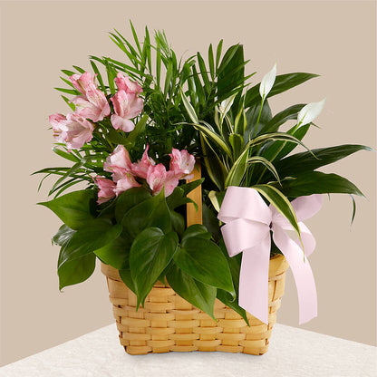 Living Spirit Dishgarden –  Bayport Flower Houses Inc, Bayport NY