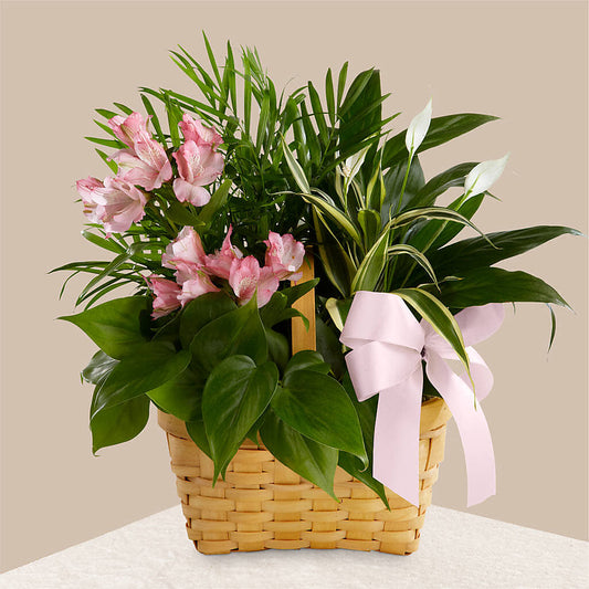 Living Spirit Dishgarden –  Bayport Flower Houses Inc, Bayport NY