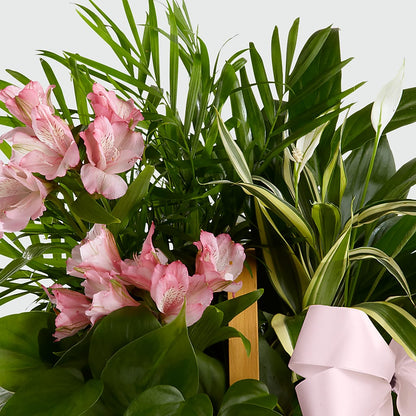 Living Spirit Dishgarden –  Bayport Flower Houses Inc, Bayport NY