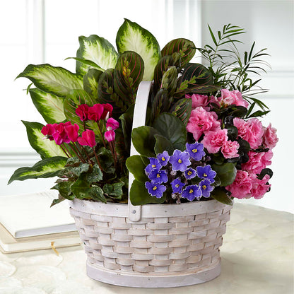 Peaceful Garden Planter –  Bayport Flower Houses Inc, Bayport NY