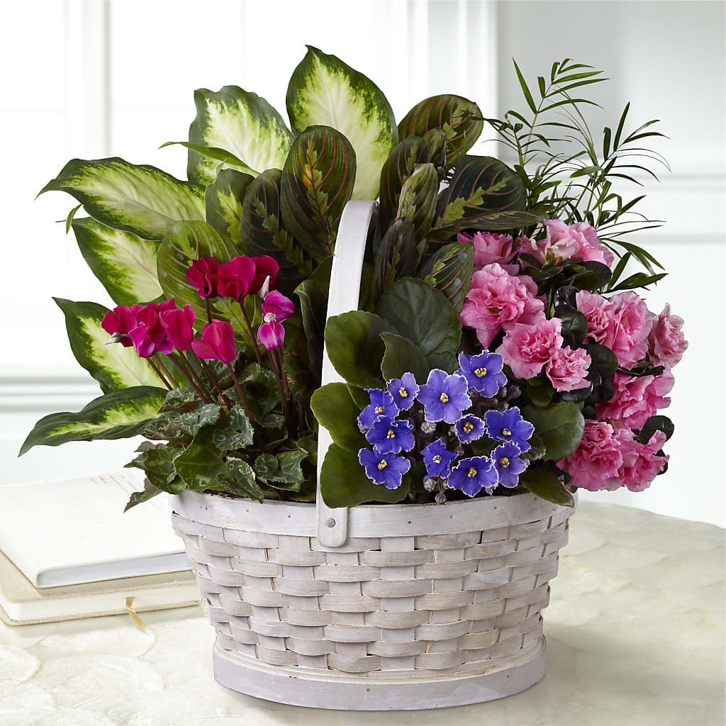 Peaceful Garden Planter –  Bayport Flower Houses Inc, Bayport NY