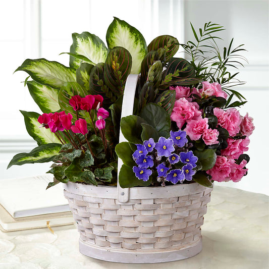 Peaceful Garden Planter –  Bayport Flower Houses Inc, Bayport NY