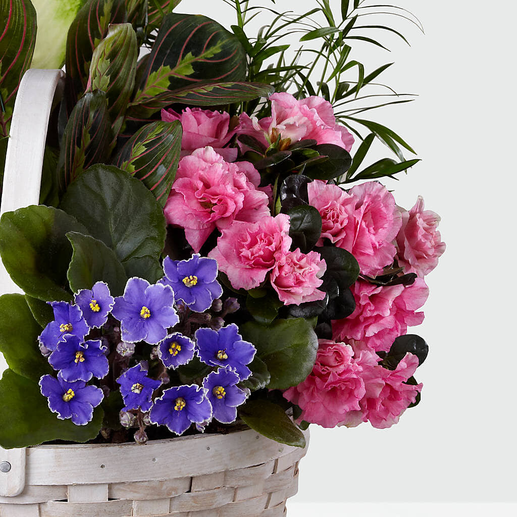 Peaceful Garden Planter –  Bayport Flower Houses Inc, Bayport NY
