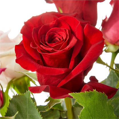 Love Notes Rose Bouquet –  Bayport Flower Houses Inc, Bayport NY