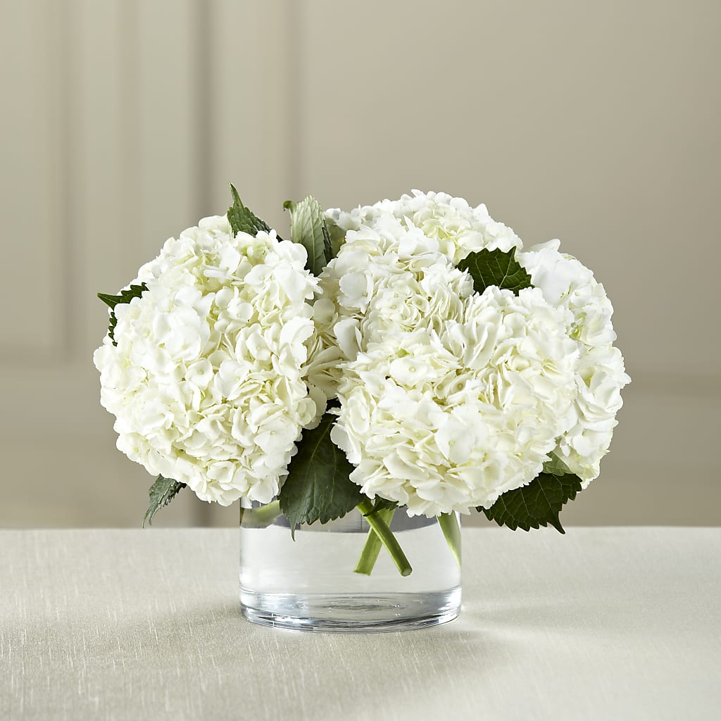 White Hydrangea Bouquet –  Bayport Flower Houses Inc, Bayport NY