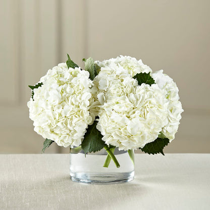 White Hydrangea Bouquet –  Bayport Flower Houses Inc, Bayport NY