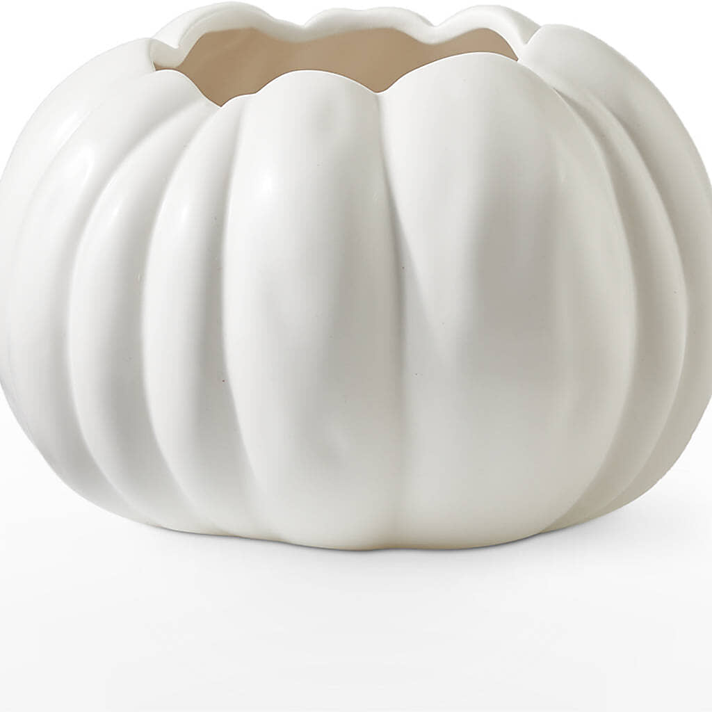Autumn Air Pumpkin Bouquet –  Bayport Flower Houses Inc, Bayport NY
