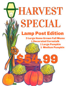 HARVEST SPECIAL - LAMPPOST EDITION!